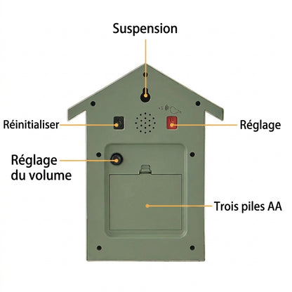 Horloge coucou oiseau qui sort - instructions montage en francais